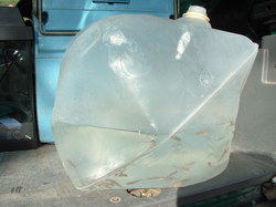 Saumon - Rhin à l'école de Lapoutroie année 2006