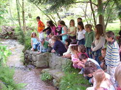 Saumon - Rhin à l'école de Lapoutroie année 2006