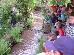Saumon - Rhin à l'école de Lapoutroie année 2006