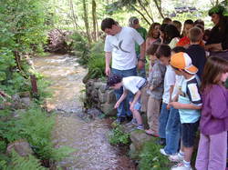 Saumon - Rhin à l'école de Lapoutroie année 2006
