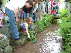 Saumon - Rhin à l'école de Lapoutroie année 2006