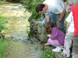 Saumon - Rhin à l'école de Lapoutroie année 2006