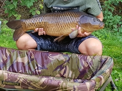 Animations,initiations saison 2019