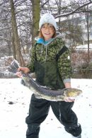 Un Saumon Atlantique nommé Guido