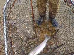 Ecole nomade du 11 Mars à Socourt