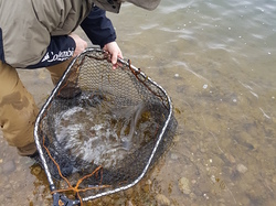 Ecole nomade du 11 Mars à Socourt