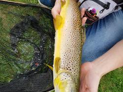 Ecole Nomade et Stage le 22/23/24 Avril au lac de la Moselotte à Saulxures