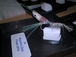 Finale du championnat de France 2015 de montage mouches à Clermont-Ferrand