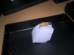 Finale du championnat de France 2015 de montage mouches à Clermont-Ferrand