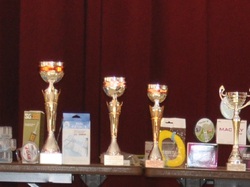 Manche qualifiquative du championnat de France de montage mouches au Foyer Saint- Martin à Lapoutroie