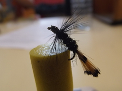 Manche qualifiquative du championnat de France de montage mouches au Foyer Saint- Martin à Lapoutroie