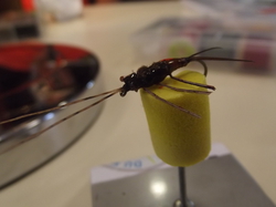 Manche qualifiquative du championnat de France de montage mouches au Foyer Saint- Martin à Lapoutroie