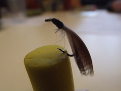 Manche qualifiquative du championnat de France de montage mouches au Foyer Saint- Martin à Lapoutroie