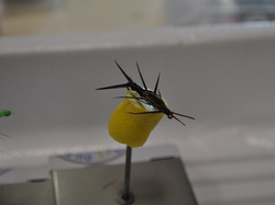 Manche qualifiquative du championnat de France de montage mouches au Foyer Saint- Martin à Lapoutroie