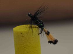 Manche qualifiquative du championnat de France de montage mouches au Foyer Saint- Martin à Lapoutroie