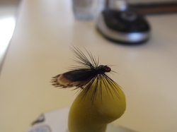 Manche qualifiquative du championnat de France de montage mouches au Foyer Saint- Martin à Lapoutroie