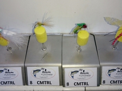 Mouches de la manche qualficative du 03 octobre 2015