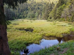 Opération ‘’mission impossible’’ à l’étang du Devin.