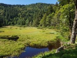 Opération ‘’mission impossible’’ à l’étang du Devin.