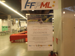 Pêche à Soie concours de montage 2014