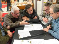 Pêche à Soie concours de montage 2014