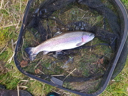 Petite semaine au lac de la Moselotte