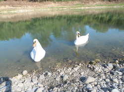 Sortie Amicale  du 19 octobre au réservoir du Lidenstoecklé CM Saint-Louis