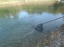 Sortie Amicale  du 19 octobre au réservoir du Lidenstoecklé CM Saint-Louis