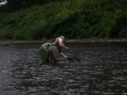 Stage de pêche 2016 de l'Ombre sur la Moselle